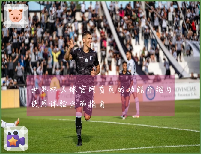 世界杯买球官网首页的功能介绍与使用体验全面指南