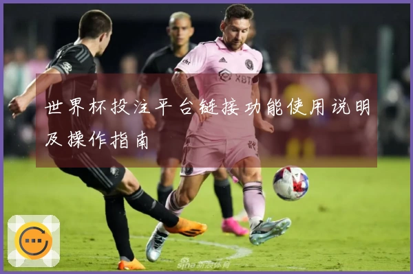 世界杯投注平台链接功能使用说明及操作指南