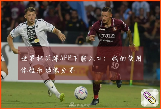 世界杯买球APP下载入口：我的使用体验和功能分享
