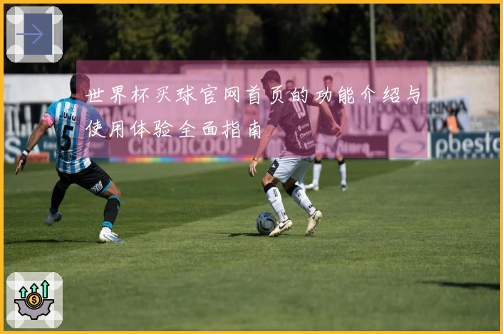 世界杯买球官网首页的功能介绍与使用体验全面指南