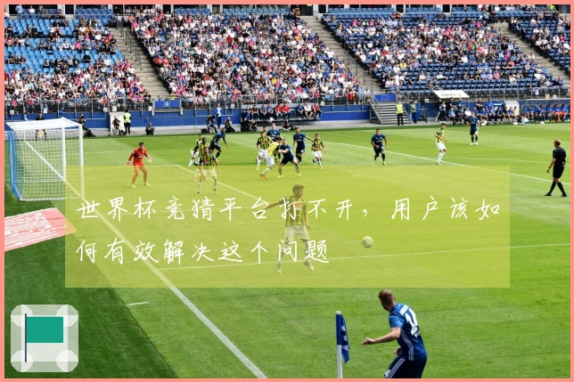 世界杯竞猜平台打不开，用户该如何有效解决这个问题