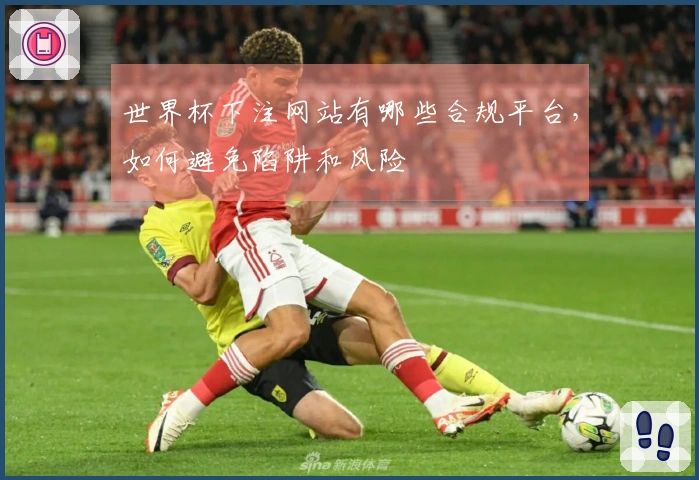 世界杯下注网站有哪些合规平台,如何避免陷阱和风险