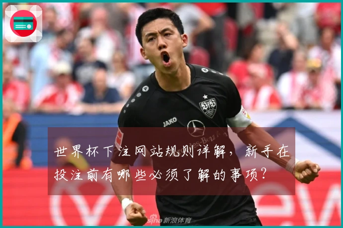 世界杯下注网站规则详解，新手在投注前有哪些必须了解的事项？