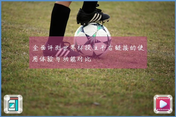 全面评测世界杯投注平台链接的使用体验与功能对比