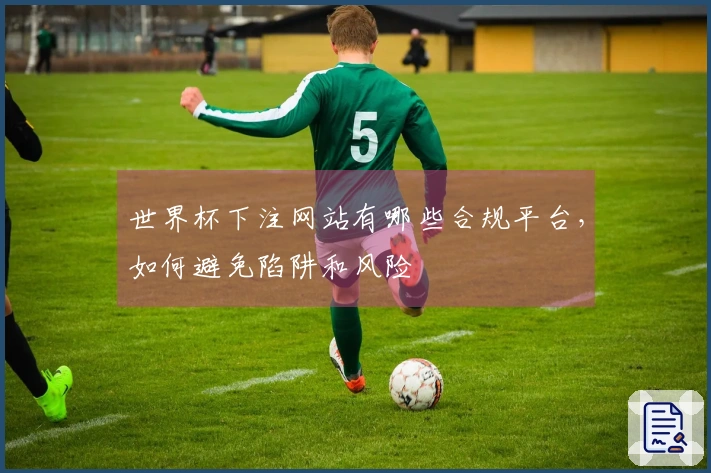 世界杯下注网站有哪些合规平台，如何避免陷阱和风险