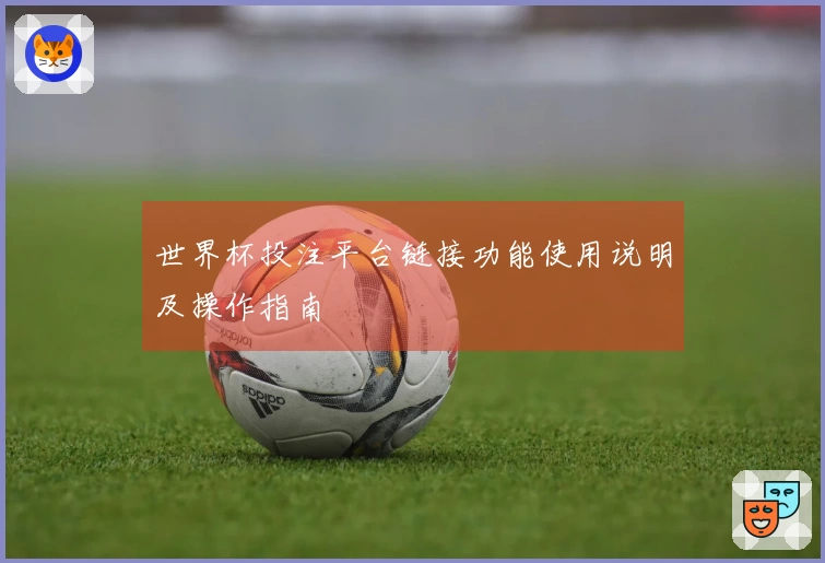 世界杯投注平台链接功能使用说明及操作指南
