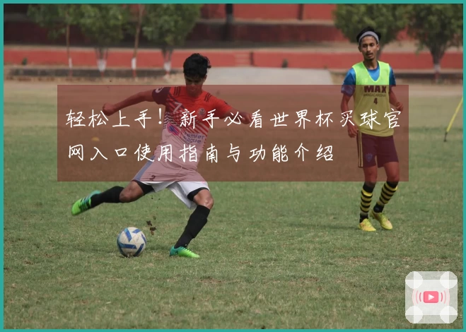 轻松上手！新手必看世界杯买球官网入口使用指南与功能介绍