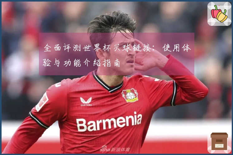 全面评测世界杯买球链接：使用体验与功能介绍指南